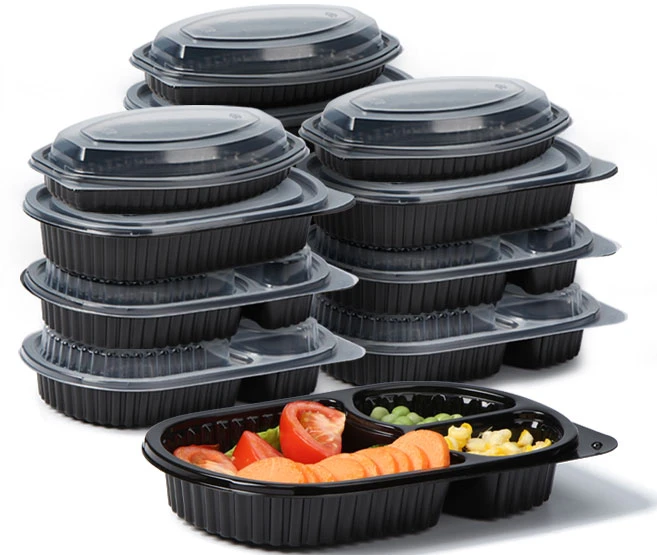 disposable lunch packing containers disposable lunch packing containers