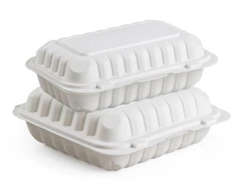 9x6 Inches Microwaveable Food Container
