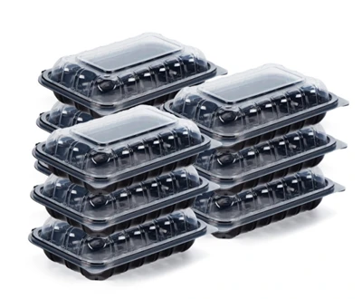 9x6 Inch PP Food Storeage Box 9x6 Inch PP Food Storeage Box